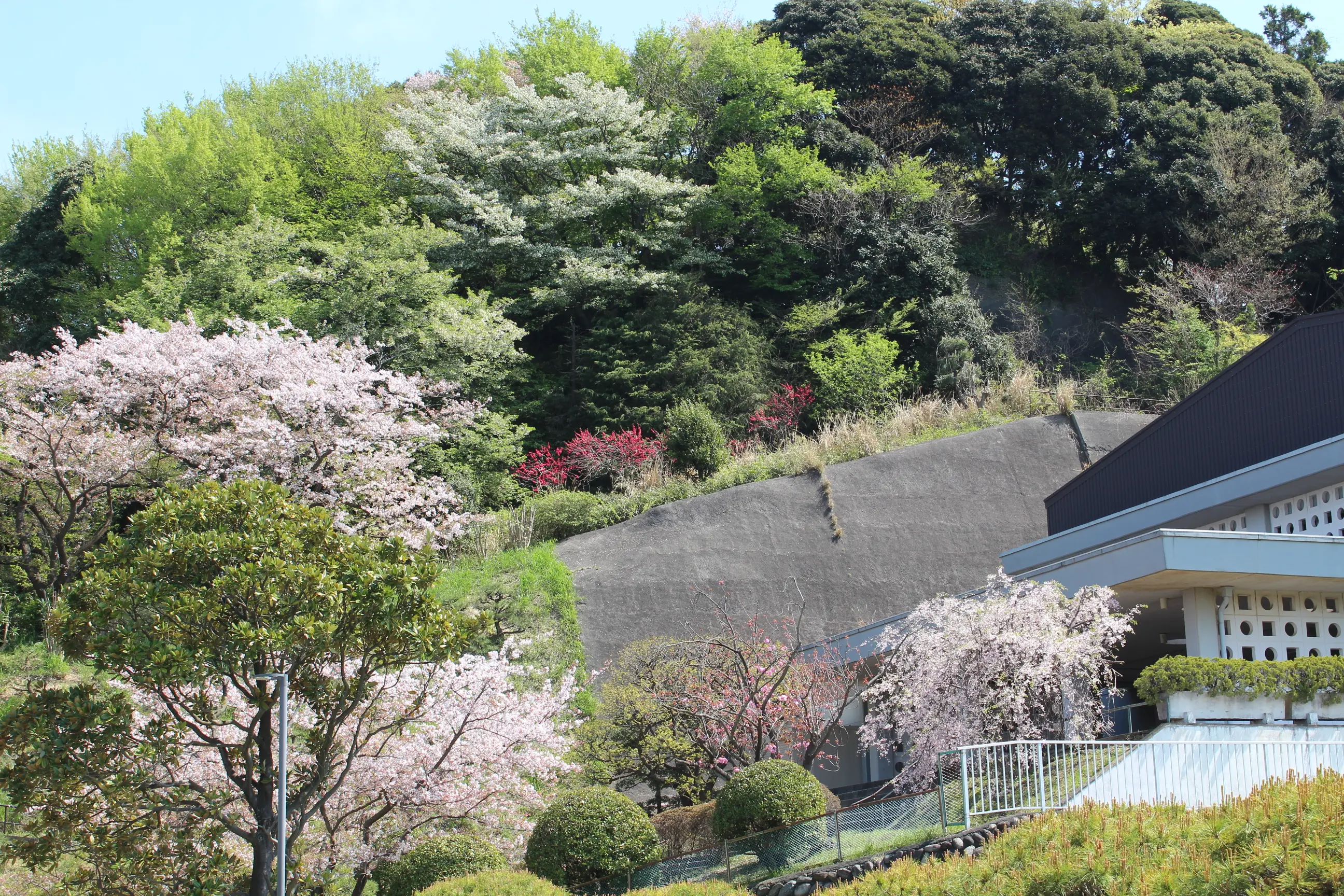 大講堂とその風景の写真