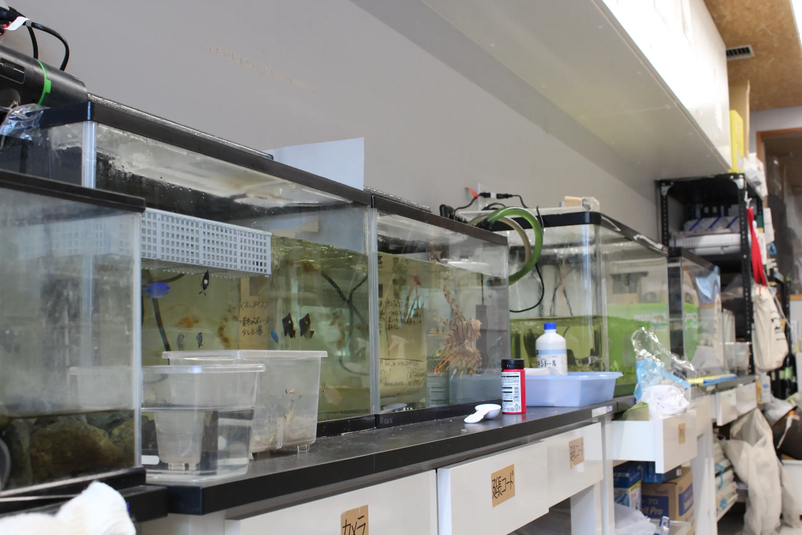 生物部室の写真